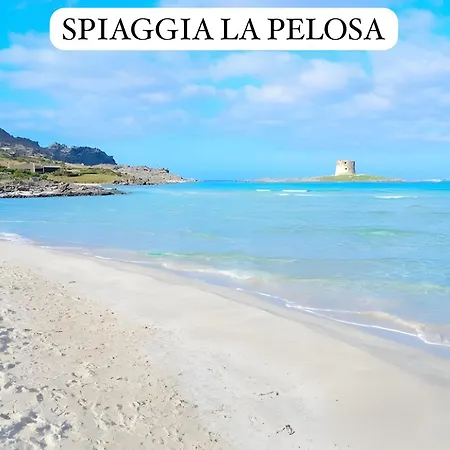 Monolocale Sergi- Piscina In Comune Апартаменты Стинтино